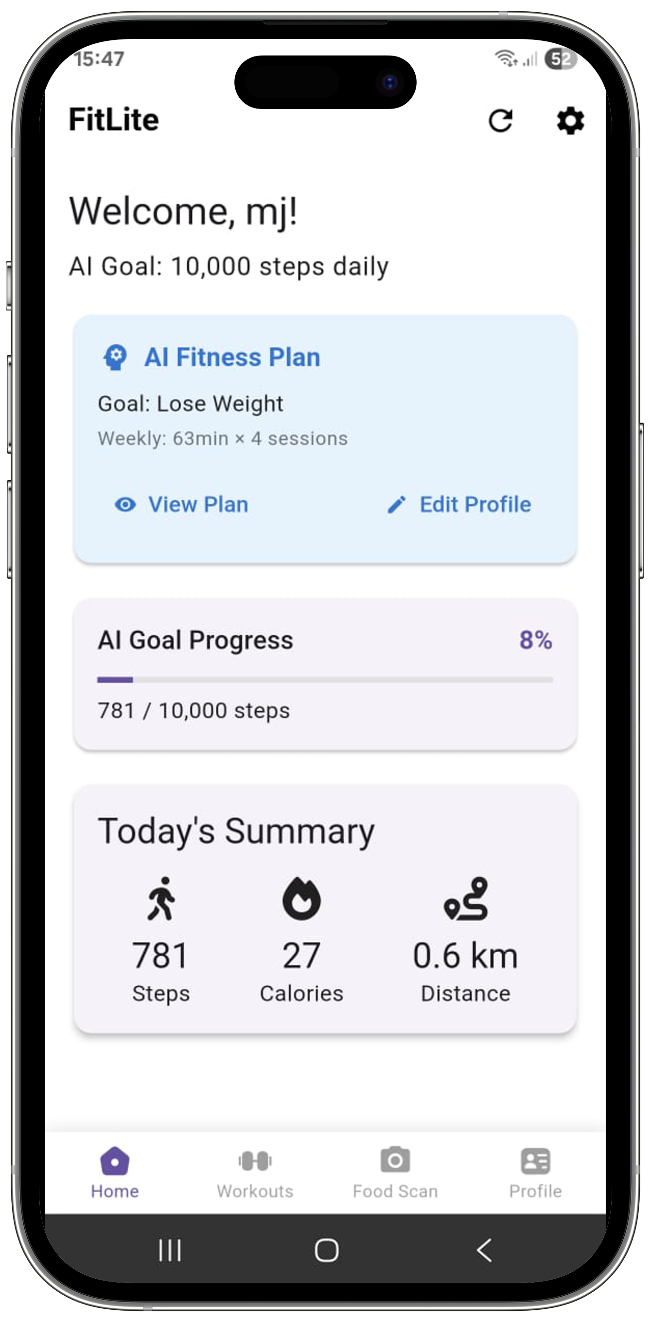 FitLite App Dashboard